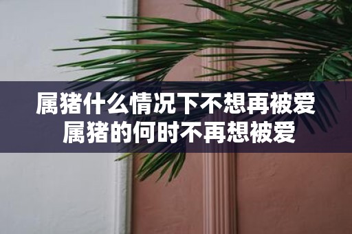 属猪什么情况下不想再被爱 属猪的何时不再想被爱