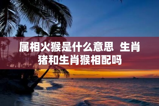属相火猴是什么意思 生肖猪和生肖猴相配吗