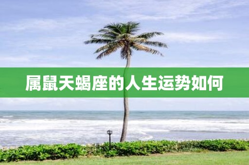 属鼠天蝎座的人生运势如何