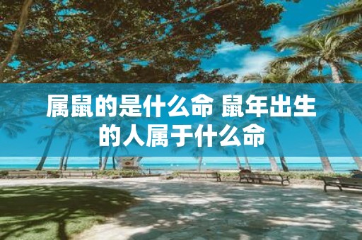 属鼠的是什么命 鼠年出生的人属于什么命