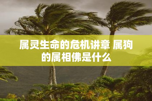 属灵生命的危机讲章 属狗的属相佛是什么