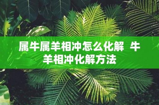 属牛属羊相冲怎么化解 牛羊相冲化解方法