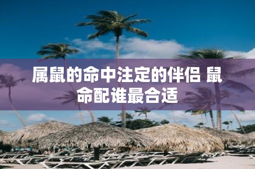 属鼠的命中注定的伴侣 鼠命配谁最合适