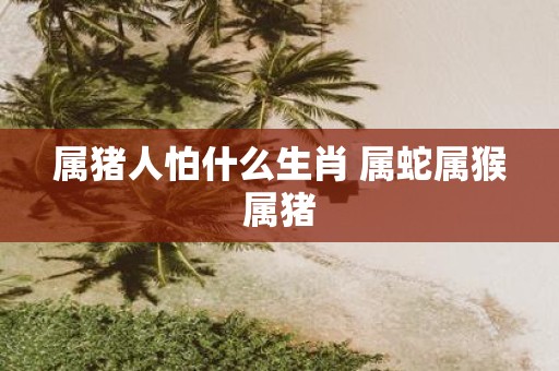 属猪人怕什么生肖 属蛇属猴属猪