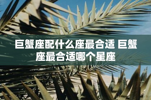 巨蟹座配什么座最合适 巨蟹座最合适哪个星座