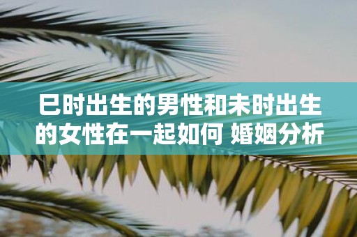 巳时出生的男性和未时出生的女性在一起如何 婚姻分析