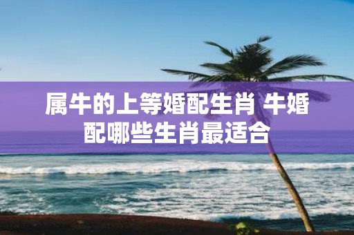 属牛的上等婚配生肖 牛婚配哪些生肖最适合