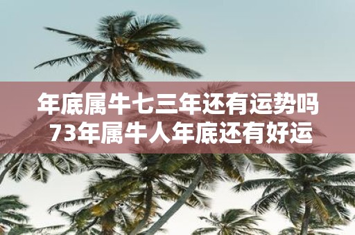 年底属牛七三年还有运势吗 73年属牛人年底还有好运吗