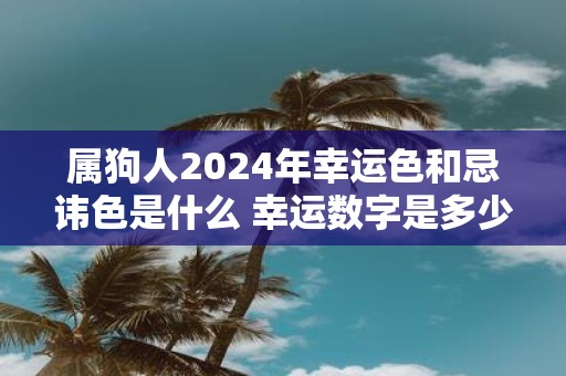 属狗人2025年幸运色和忌讳色是什么 幸运数字是多少
