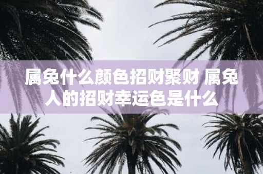 属兔什么颜色招财聚财 属兔人的招财幸运色是什么