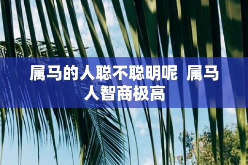 属马的人聪不聪明呢 属马人智商极高