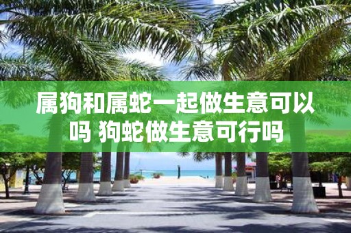 属狗和属蛇一起做生意可以吗 狗蛇做生意可行吗