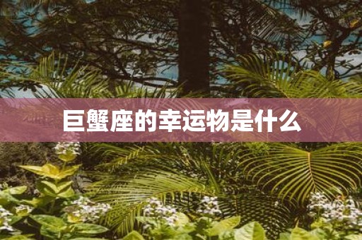 巨蟹座的幸运物是什么