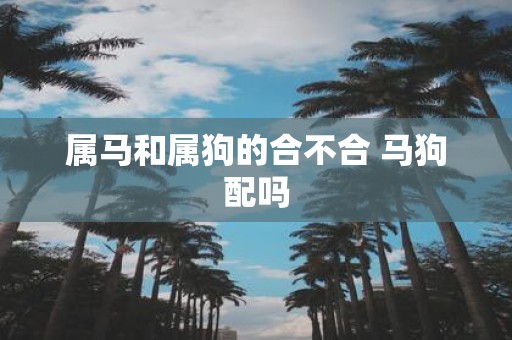 属马和属狗的合不合 马狗配吗