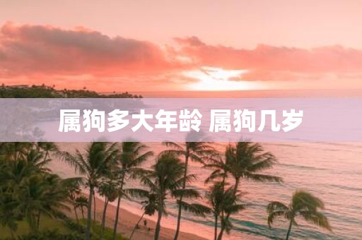 属狗多大年龄 属狗几岁