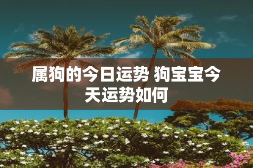 属狗的今日运势 狗宝宝今天运势如何
