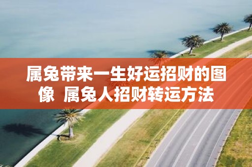 属兔带来一生好运招财的图像 属兔人招财转运方法