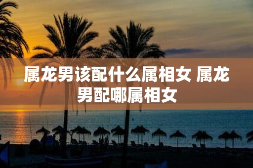 属龙男该配什么属相女 属龙男配哪属相女