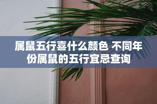 属鼠五行喜什么颜色 不同年份属鼠的五行宜忌查询