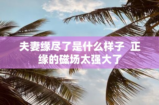 夫妻缘尽了是什么样子 正缘的磁场太强大了
