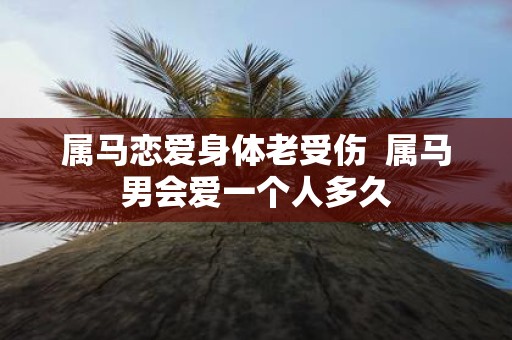 属马恋爱身体老受伤 属马男会爱一个人多久