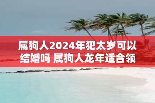 属狗人2025年犯太岁可以结婚吗 属狗人蛇年适合领证吗