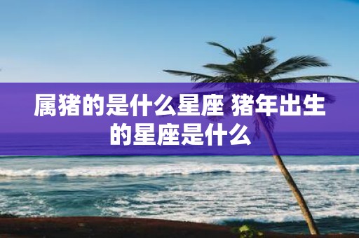 属猪的是什么星座 猪年出生的星座是什么