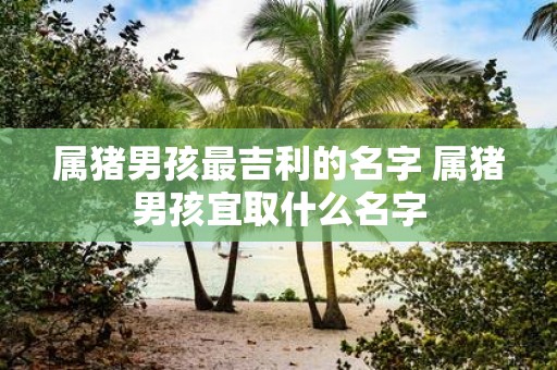 属猪男孩最吉利的名字 属猪男孩宜取什么名字