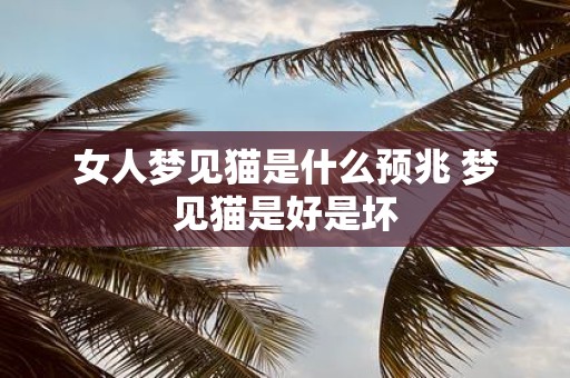 女人梦见猫是什么预兆 梦见猫是好是坏