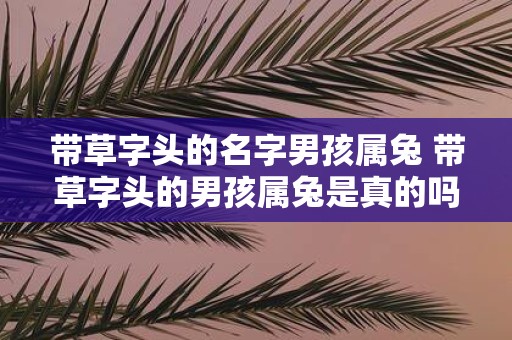 带草字头的名字男孩属兔 带草字头的男孩属兔是真的吗