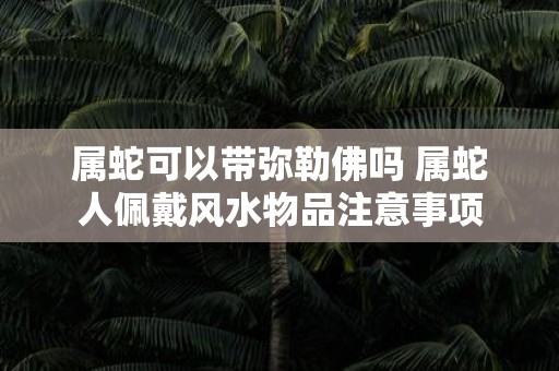 属蛇可以带弥勒佛吗 属蛇人佩戴风水物品注意事项