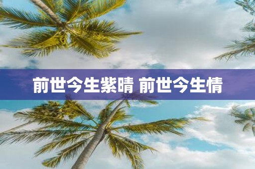 前世今生紫晴 前世今生情