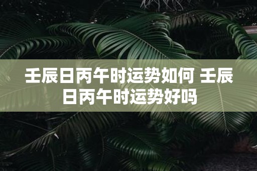 壬辰日丙午时运势如何 壬辰日丙午时运势好吗