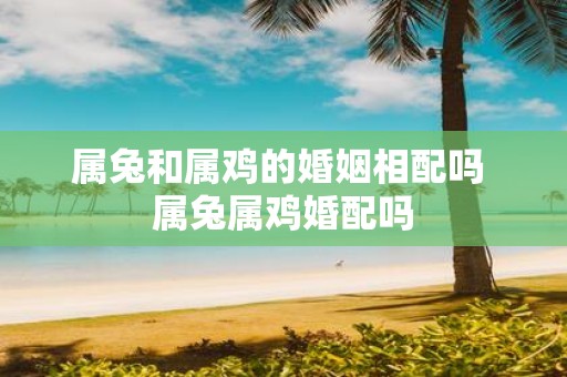 属兔和属鸡的婚姻相配吗 属兔属鸡婚配吗