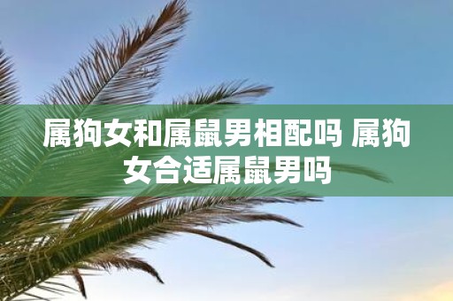 属狗女和属鼠男相配吗 属狗女合适属鼠男吗