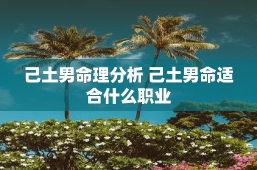 己土男命理分析 己土男命适合什么职业