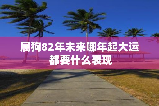 属狗82年未来哪年起大运 都要什么表现