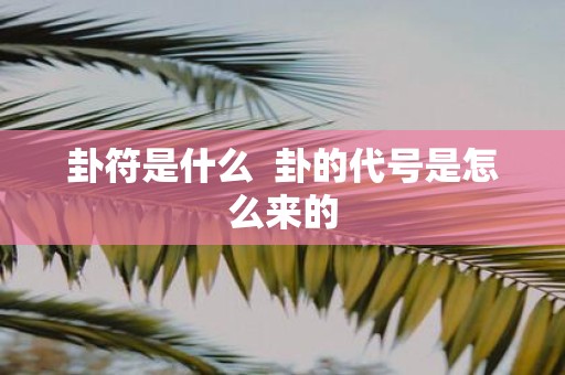 卦符是什么 卦的代号是怎么来的