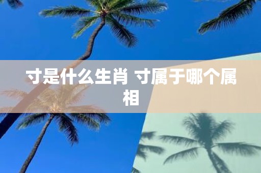 寸是什么生肖 寸属于哪个属相