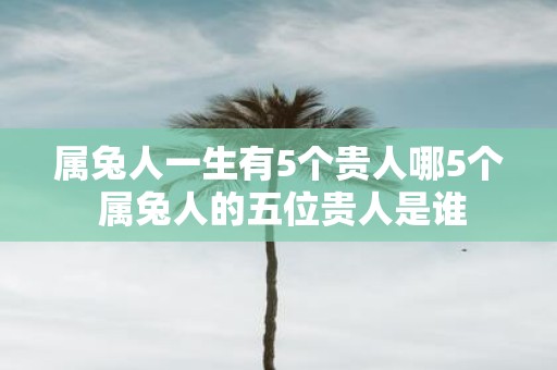 属兔人一生有5个贵人哪5个 属兔人的五位贵人是谁