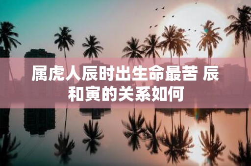 属虎人辰时出生命最苦 辰和寅的关系如何