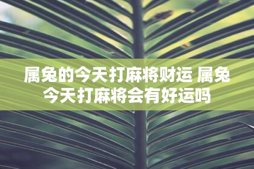 属兔的今天打麻将财运 属兔今天打麻将会有好运吗