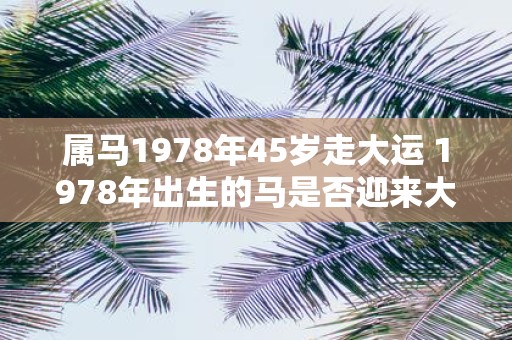 属马1978年45岁走大运 1978年出生的马是否迎来大运