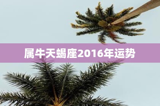 属牛天蝎座2016年运势