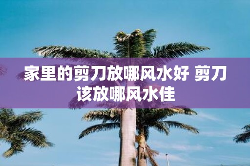家里的剪刀放哪风水好 剪刀该放哪风水佳