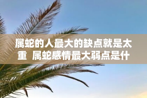 属蛇的人最大的缺点就是太重 属蛇感情最大弱点是什么