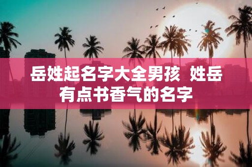 岳姓起名字大全男孩 姓岳有点书香气的名字