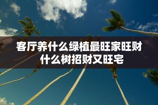 客厅养什么绿植最旺家旺财 什么树招财又旺宅