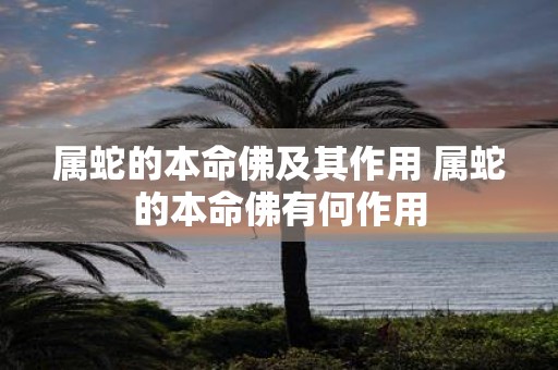 属蛇的本命佛及其作用 属蛇的本命佛有何作用