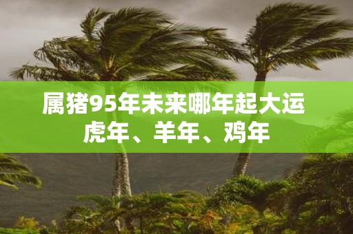 属猪95年未来哪年起大运 虎年、羊年、鸡年